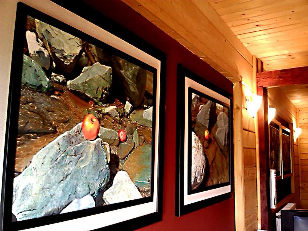 Art Apartments Minic Kolašin Exteriör bild